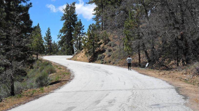 The base of Mt. Pinos. At 6,000 ft